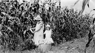 Emma and Helen Roethlisberger picking corn.  Emma, born in 1904, was 13 years older than Helen.